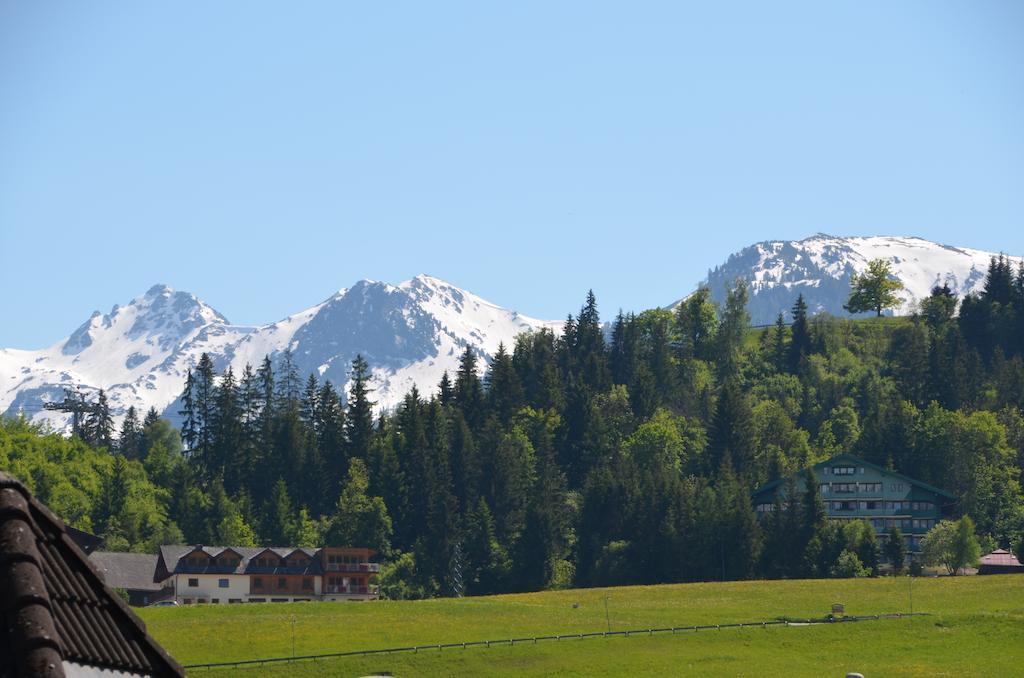 Haus Pitzer/Apartments Troicher Schladming Habitación foto