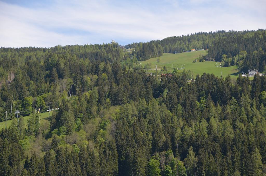 Haus Pitzer/Apartments Troicher Schladming Habitación foto